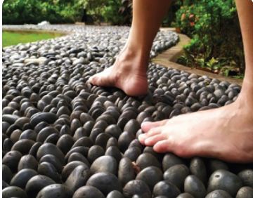 Reflexology Park